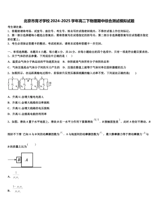 北京市育才学校2024-2025学年高二下物理期中综合测试模拟试题含解析