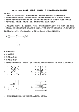 2024-2025学年科大附中高二物理第二学期期中综合测试模拟试题含解析