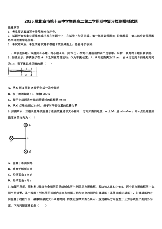 2025届北京市第十三中学物理高二第二学期期中复习检测模拟试题含解析