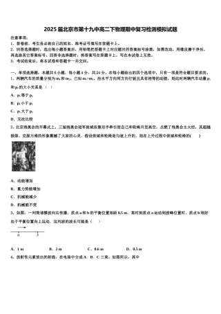 2025届北京市第十九中高二下物理期中复习检测模拟试题含解析