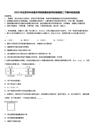 2025年北京市中央美术学院附属实验学校物理高二下期中检测试题含解析