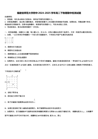 福建省师范大学附中2024-2025学年高二下物理期中检测试题含解析