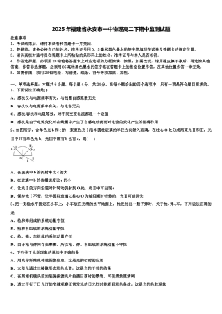 2025年福建省永安市一中物理高二下期中监测试题含解析