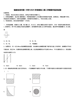 福建省漳州第一中学2025年物理高二第二学期期中监测试题含解析