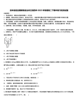 吉林省延边朝鲜族自治州汪清四中2025年物理高二下期中复习检测试题含解析