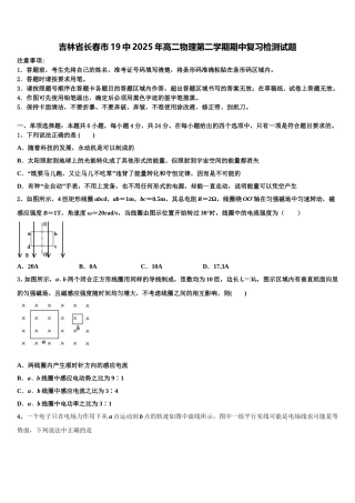 吉林省长春市19中2025年高二物理第二学期期中复习检测试题含解析