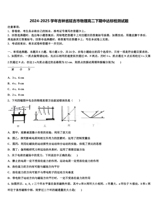2024-2025学年吉林省延吉市物理高二下期中达标检测试题含解析