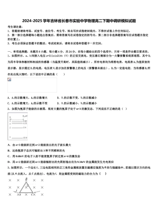 2024-2025学年吉林省长春市实验中学物理高二下期中调研模拟试题含解析
