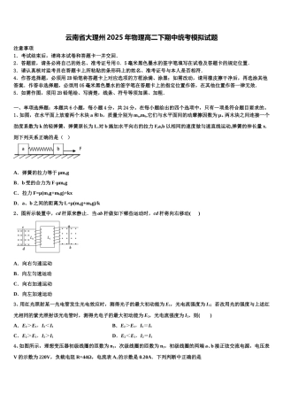 云南省大理州2025年物理高二下期中统考模拟试题含解析