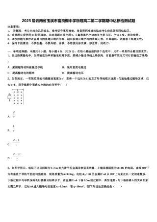 2025届云南省玉溪市富良棚中学物理高二第二学期期中达标检测试题含解析