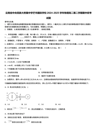 云南省中央民族大附属中学芒市国际学校2024-2025学年物理高二第二学期期中统考试题含解析
