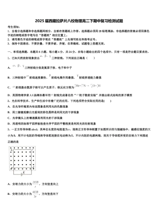 2025届西藏拉萨片八校物理高二下期中复习检测试题含解析