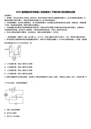 2025届西藏拉萨市那曲二高物理高二下期中复习检测模拟试题含解析