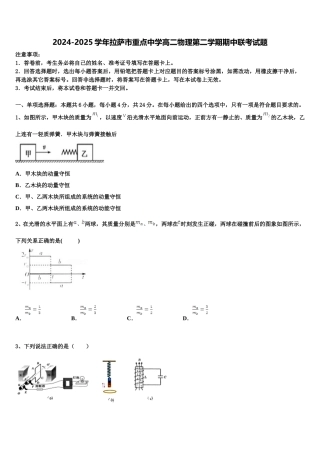 2024-2025学年拉萨市重点中学高二物理第二学期期中联考试题含解析