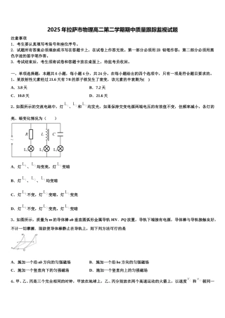 2025年拉萨市物理高二第二学期期中质量跟踪监视试题含解析