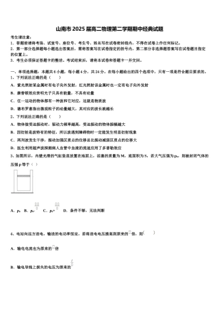 山南市2025届高二物理第二学期期中经典试题含解析