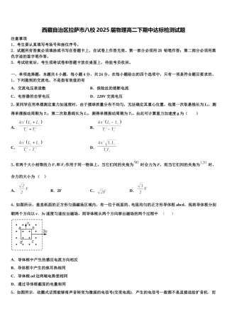 西藏自治区拉萨市八校2025届物理高二下期中达标检测试题含解析