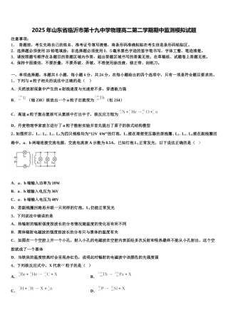 2025年山东省临沂市第十九中学物理高二第二学期期中监测模拟试题含解析