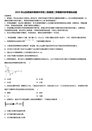 2025年山东肥城市泰西中学高二物理第二学期期中统考模拟试题含解析