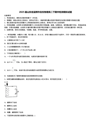 2025届山东省淄博市名校物理高二下期中检测模拟试题含解析