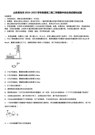 山东青岛市2024-2025学年物理高二第二学期期中综合测试模拟试题含解析