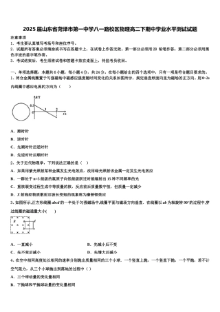 2025届山东省菏泽市第一中学八一路校区物理高二下期中学业水平测试试题含解析