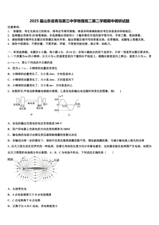2025届山东省青岛第三中学物理高二第二学期期中调研试题含解析