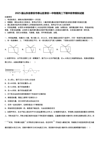 2025届山东省泰安市泰山区泰安一中物理高二下期中统考模拟试题含解析