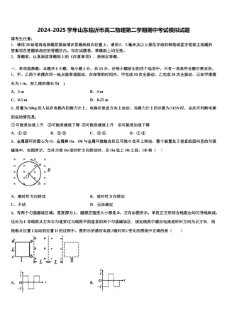 2024-2025学年山东临沂市高二物理第二学期期中考试模拟试题含解析