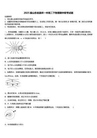 2025届山东省嘉祥一中高二下物理期中联考试题含解析
