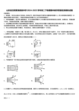 山东省日照黄海高级中学2024-2025学年高二下物理期中教学质量检测模拟试题含解析
