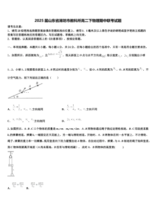 2025届山东省潍坊市教科所高二下物理期中联考试题含解析