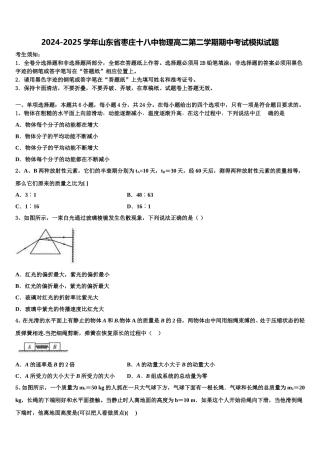 2024-2025学年山东省枣庄十八中物理高二第二学期期中考试模拟试题含解析