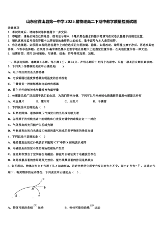 山东省微山县第一中学2025届物理高二下期中教学质量检测试题含解析