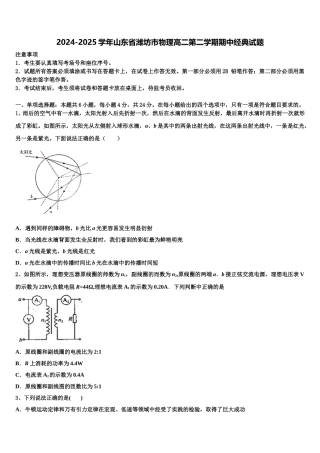 2024-2025学年山东省潍坊市物理高二第二学期期中经典试题含解析
