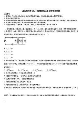 山东德州市2025届物理高二下期中检测试题含解析