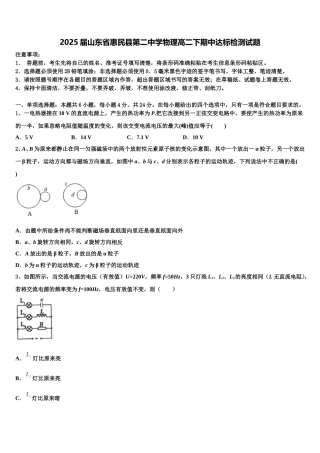 2025届山东省惠民县第二中学物理高二下期中达标检测试题含解析