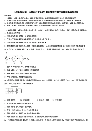 山东省聊城第一中学老校区2025年物理高二第二学期期中监测试题含解析