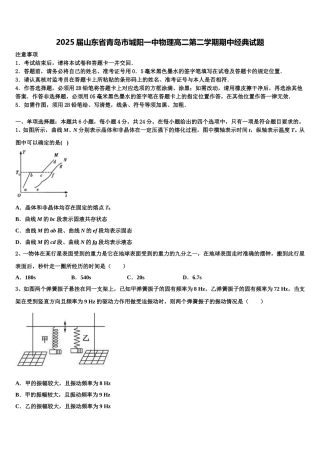 2025届山东省青岛市城阳一中物理高二第二学期期中经典试题含解析