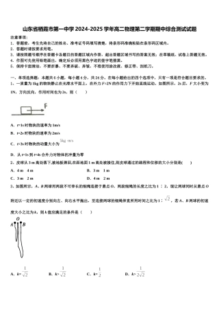 山东省栖霞市第一中学2024-2025学年高二物理第二学期期中综合测试试题含解析