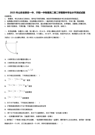 2025年山东省泰安一中、宁阳一中物理高二第二学期期中学业水平测试试题含解析