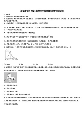 山东泰安市2025年高二下物理期中联考模拟试题含解析