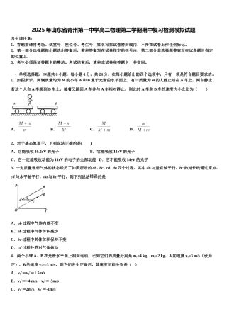2025年山东省青州第一中学高二物理第二学期期中复习检测模拟试题含解析