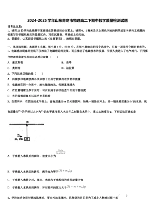 2024-2025学年山东青岛市物理高二下期中教学质量检测试题含解析
