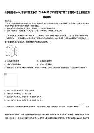 山东省滕州一中、枣庄市第三中学2024-2025学年物理高二第二学期期中学业质量监测模拟试题含解析