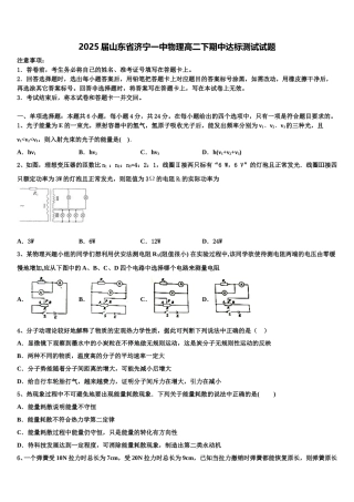 2025届山东省济宁一中物理高二下期中达标测试试题含解析