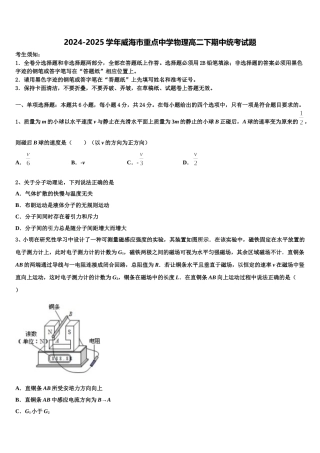 2024-2025学年威海市重点中学物理高二下期中统考试题含解析