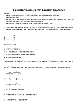 山东省东明县万福中学2024-2025学年物理高二下期中考试试题含解析