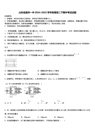 山东省嘉祥一中2024-2025学年物理高二下期中考试试题含解析