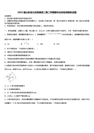 2025届山东省九校物理高二第二学期期中达标检测模拟试题含解析